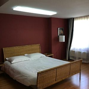 Superior Studio met een King Size Bed